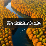 买车定金交了怎么退(图4) 买车定金交了怎么退(图4)