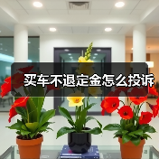 买车不退定金怎么投诉(图1) 买车不退定金怎么投诉(图1)