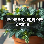 哪个定金可以退哪个定金不能退(图2) 哪个定金可以退哪个定金不能退(图2)