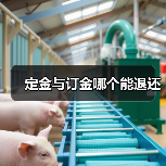 定金与订金哪个能退还（图3）