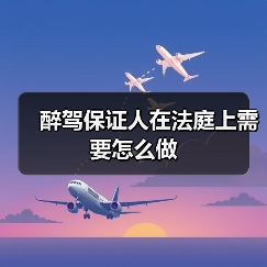 醉驾保证人在法庭上需要怎么做(图3) 醉驾保证人在法庭上需要怎么做(图3)