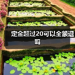 定金超过20可以全额退吗(图3) 定金超过20可以全额退吗(图3)
