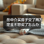 在中介买房子交了两万定金不想买了怎么办(图3) 在中介买房子交了两万定金不想买了怎么办(图3)