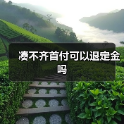 凑不齐首付可以退定金吗(图4) 凑不齐首付可以退定金吗(图4)