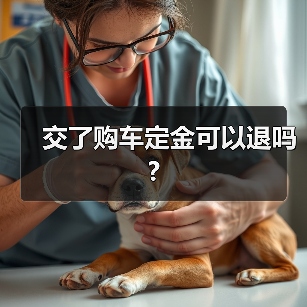 交了购车定金可以退吗?(图4) 交了购车定金可以退吗?(图4)