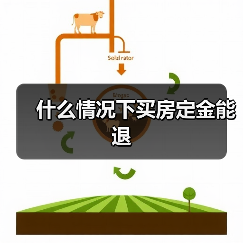 什么情况下买房定金能退(图4) 什么情况下买房定金能退(图4)