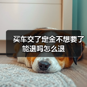 买车交了定金不想要了能退吗怎么退（图3）
