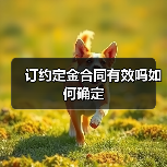 订约定金合同有效吗如何确定（图4）