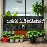 定金答应退有法律效力吗(图2) 定金答应退有法律效力吗(图2)