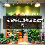 定金答应退有法律效力吗(图3) 定金答应退有法律效力吗(图3)
