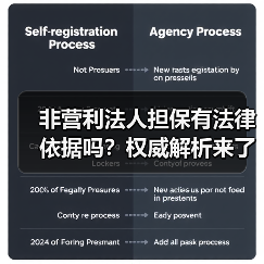非营利法人担保有法律依据吗？权威解析来了（图1）