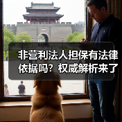 非营利法人担保有法律依据吗？权威解析来了（图3）