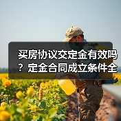 买房协议交定金有效吗?定金合同成立条件全解析(图4) 买房协议交定金有效吗?定金合同成立条件全解析(图4)