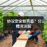 协议定金能否退?分三情况详解(图1) 协议定金能否退?分三情况详解(图1)