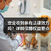 定金收到条有法律效力吗?详解保障权益要点(图4) 定金收到条有法律效力吗?详解保障权益要点(图4)