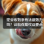 定金收到条有法律效力吗?详解保障权益要点(图3) 定金收到条有法律效力吗?详解保障权益要点(图3)