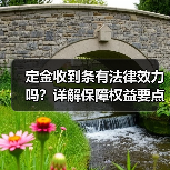 定金收到条有法律效力吗?详解保障权益要点(图2) 定金收到条有法律效力吗?详解保障权益要点(图2)