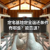 定宅基地定金退还条件有哪些?能否退?(图4) 定宅基地定金退还条件有哪些?能否退?(图4)