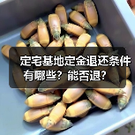 定宅基地定金退还条件有哪些?能否退?(图2) 定宅基地定金退还条件有哪些?能否退?(图2)