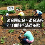 签合同定金不退合法吗?详细解析法律条款(图3) 签合同定金不退合法吗?详细解析法律条款(图3)