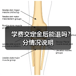 学费交定金后能退吗?分情况说明(图2) 学费交定金后能退吗?分情况说明(图2)