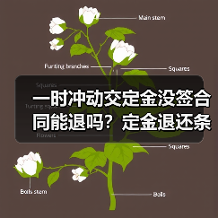 一时冲动交定金没签合同能退吗?定金退还条件解析(图2) 一时冲动交定金没签合同能退吗?定金退还条件解析(图2)
