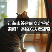 订车未签合同交定金能退吗?违约方决定能否拿回(图4) 订车未签合同交定金能退吗?违约方决定能否拿回(图4)