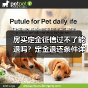 房买定金征信过不了能退吗?定金退还条件详解(图4) 房买定金征信过不了能退吗?定金退还条件详解(图4)