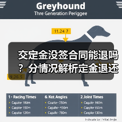 交定金没签合同能退吗？分情况解析定金退还规则（图1）