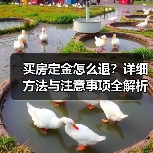 买房定金怎么退?详细方法与注意事项全解析(图2) 买房定金怎么退?详细方法与注意事项全解析(图2)