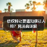 债权转让要通知保证人吗？民法典详解（图3）