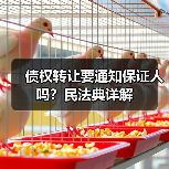 债权转让要通知保证人吗？民法典详解（图2）