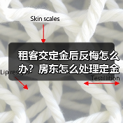 租客交定金后反悔怎么办?房东怎么处理定金(图1) 租客交定金后反悔怎么办?房东怎么处理定金(图1)