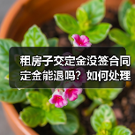 租房子交定金没签合同定金能退吗?如何处理(图4) 租房子交定金没签合同定金能退吗?如何处理(图4)