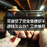 买房交了定金售楼部不退钱怎么办?三步维权指南(图4) 买房交了定金售楼部不退钱怎么办?三步维权指南(图4)