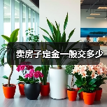 卖房子定金一般交多少(图4) 卖房子定金一般交多少(图4)