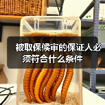被取保候审的保证人必须符合什么条件(图2) 被取保候审的保证人必须符合什么条件(图2)