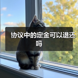 协议中的定金可以退还吗(图3) 协议中的定金可以退还吗(图3)