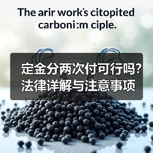 定金分两次付可行吗?法律详解与注意事项(图3) 定金分两次付可行吗?法律详解与注意事项(图3)