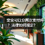 定金可以分两次支付吗?法律如何规定?(图3) 定金可以分两次支付吗?法律如何规定?(图3)