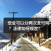 定金可以分两次支付吗?法律如何规定?(图4) 定金可以分两次支付吗?法律如何规定?(图4)