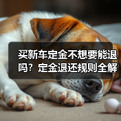 买新车定金不想要能退吗?定金退还规则全解析(图3) 买新车定金不想要能退吗?定金退还规则全解析(图3)