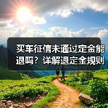 买车征信未通过定金能退吗？详解退定金规则（图1）