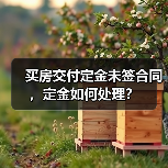 买房交付定金未签合同,定金如何处理?(图2) 买房交付定金未签合同,定金如何处理?(图2)