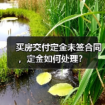 买房交付定金未签合同,定金如何处理?(图4) 买房交付定金未签合同,定金如何处理?(图4)