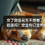 交了定金买车不想要了能退吗?定金和订金有区别!(图3) 交了定金买车不想要了能退吗?定金和订金有区别!(图3)