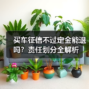 买车征信不过定金能退吗?责任划分全解析(图4) 买车征信不过定金能退吗?责任划分全解析(图4)