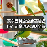 买东西付定金后还能退吗?定金退还规则全解析(图4) 买东西付定金后还能退吗?定金退还规则全解析(图4)