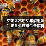 交定金不想买车能退吗?定金退还条件全解析(图2) 交定金不想买车能退吗?定金退还条件全解析(图2)