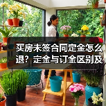 买房未签合同定金怎么退?定金与订金区别及处理方法(图4) 买房未签合同定金怎么退?定金与订金区别及处理方法(图4)